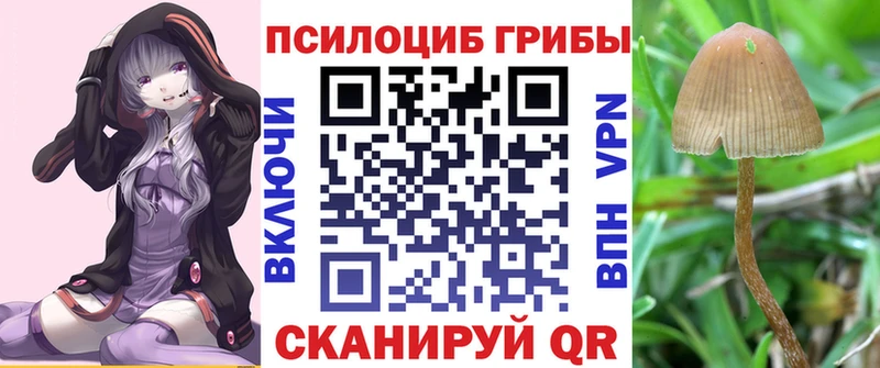 Галлюциногенные грибы ЛСД  Курлово 