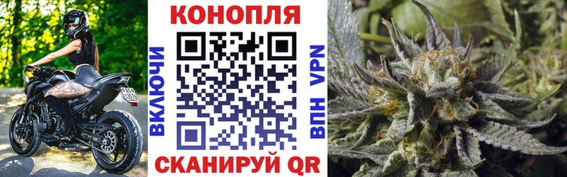 Шишки марихуана конопля  купить наркотик  ссылка на мегу как зайти  Курлово 